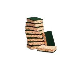 10 Eponges abrasives vertes