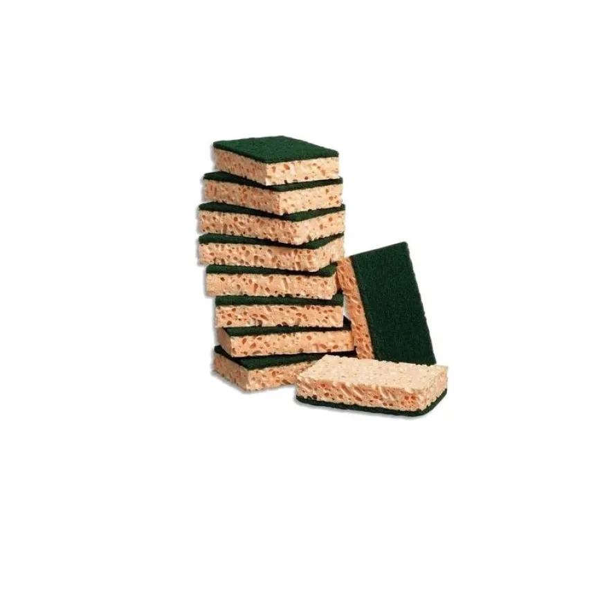 10 Eponges abrasives vertes