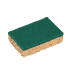 10 Eponges abrasives vertes