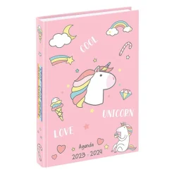 Agenda Bubbles - 1 jour par page - 12 x 17 cm - rose ou bleu - Viquel