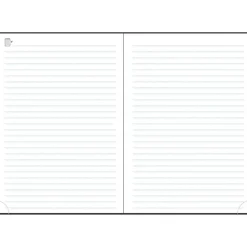 Agenda de bureau Carte EasySlim 21 - 1 mois sur 2 pages - 15 x 21 cm - Bleu azur - Exacompta