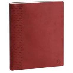 Agenda de bureau Winner - 1 semaine sur 2 pages - 18,5 x 22,5 cm - disponible dans différentes couleurs - Exacompta