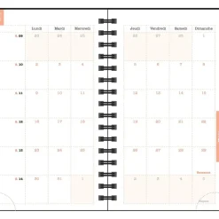 Agenda de poche Dodo & Cath Lady 16S spiralé - 1 semaine sur 2 pages - 9 x 16 cm - Poisson rouge - Exacompta
