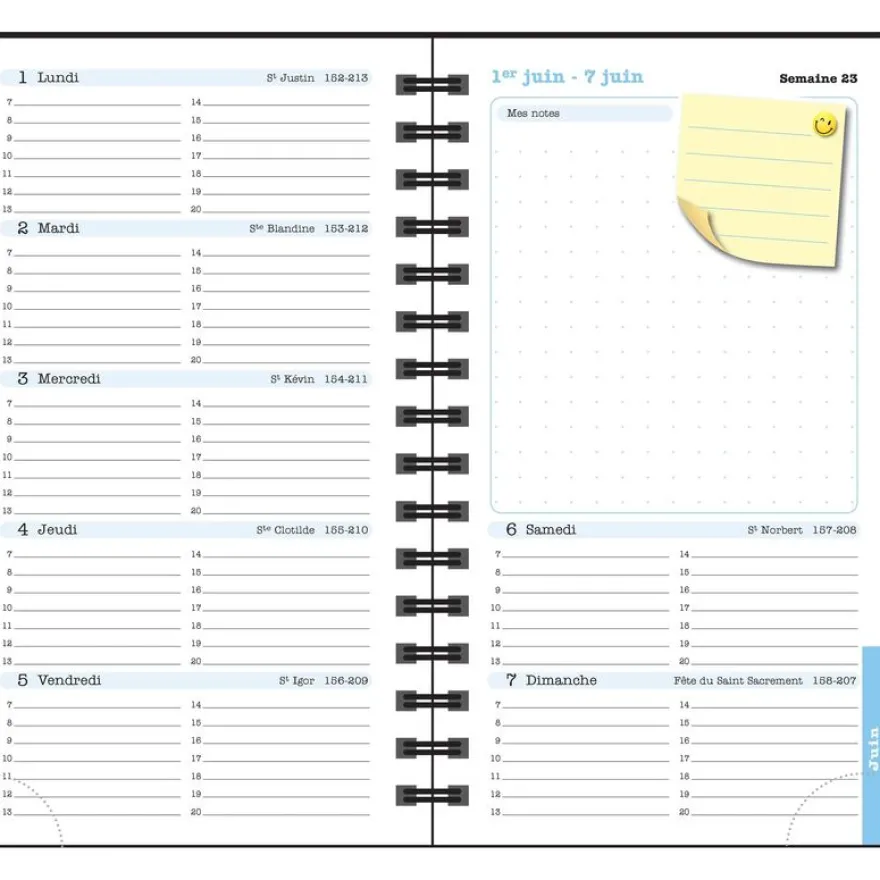 Agenda de poche Sophie Adde Lady 16S spiralé - 1 semaine sur 2 pages - 9 x 16 cm - Chats - Exacompta