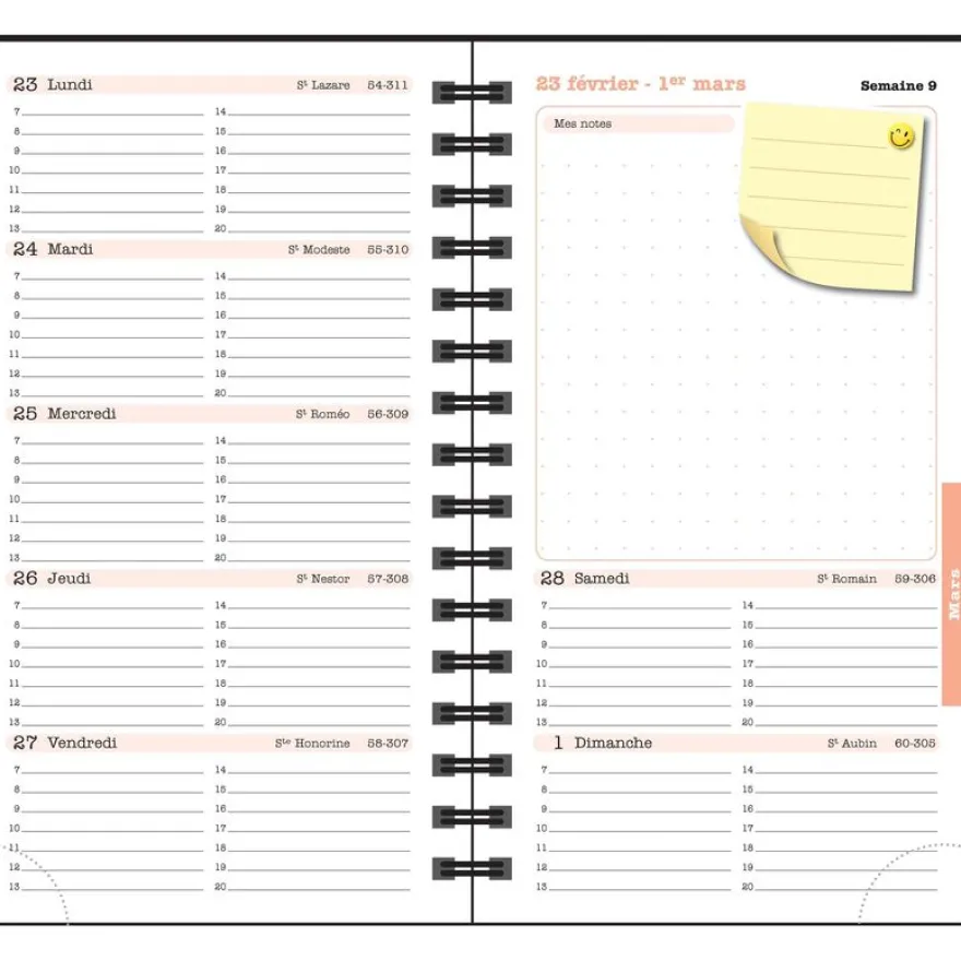 Agenda de poche Sophie Adde Lady 16S spiralé - 1 semaine sur 2 pages - 9 x 16 cm - Chats - Exacompta