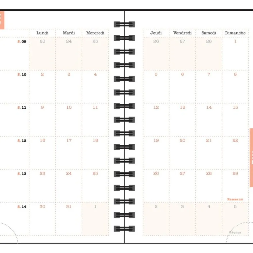 Agenda de poche Sophie Adde Lady 16S spiralé - 1 semaine sur 2 pages - 9 x 16 cm - Chats - Exacompta