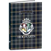 Agenda de texte Harry Potter - 15x21 cm - 2 décors assortis - Kid'Abord