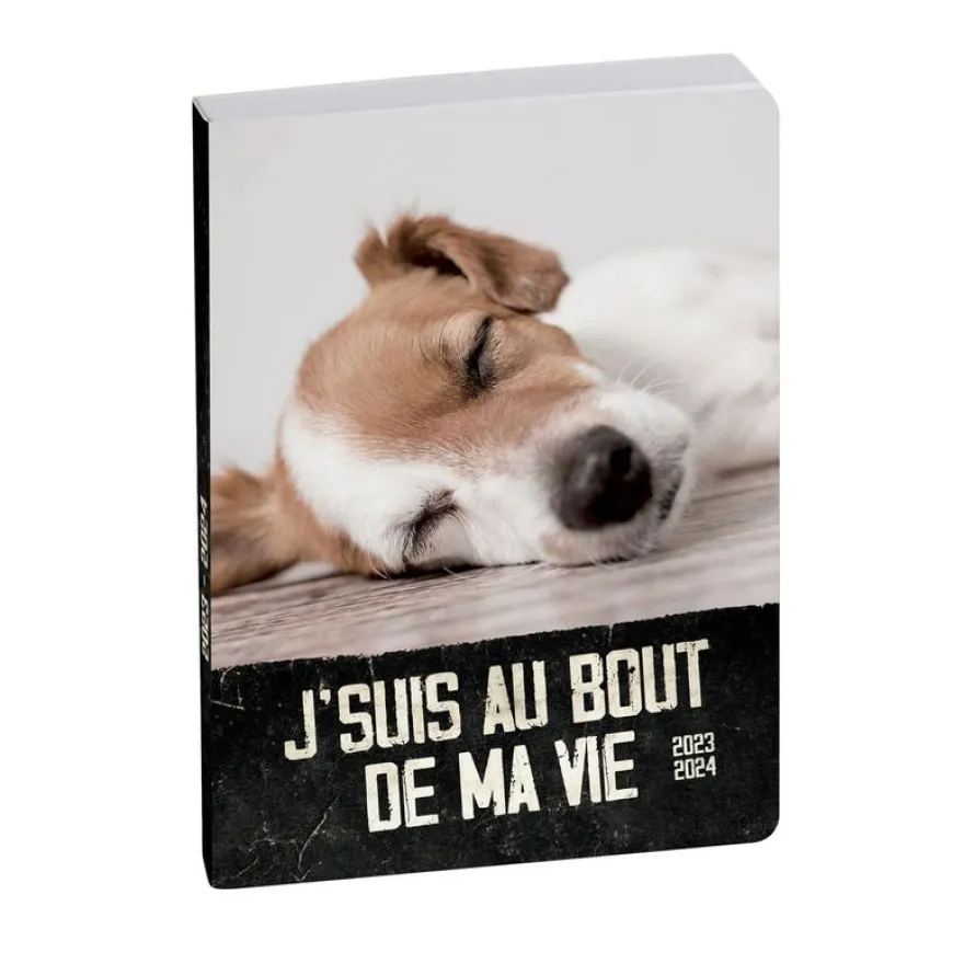 Agenda Funny Pets - 1 jour par page - 12 x 18 cm - chiot - Exacompta
