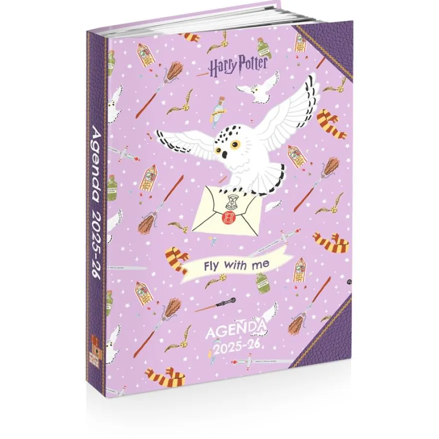 Agenda HARRY POTTER HEDWIG 12 x 17 cm - 2 modèles au choix - Kid'Abord