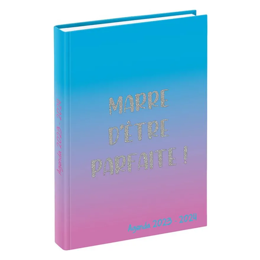 Agenda Humour Pailleté - 1 jour par page - 12 x 17 cm - 2 modèles disponibles - Viquel