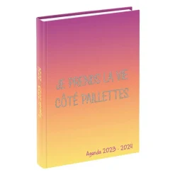 Agenda Humour Pailleté - 1 jour par page - 12 x 17 cm - 2 modèles disponibles - Viquel