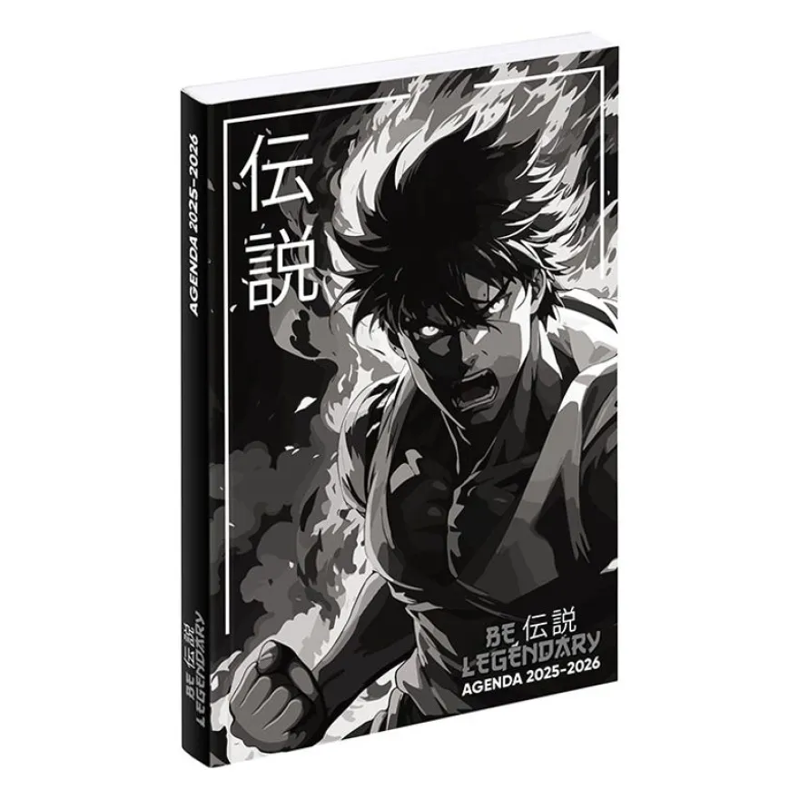 Agenda Manga "boy" - 1 jour par page - 12 x 17 cm - Viquel