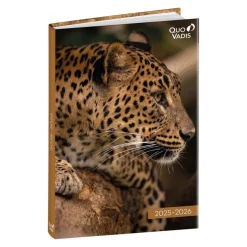 Agenda Mes Potes à pattes - 1 jour par page - 12 x 17 cm - différents modèles disponibles - Quo Vadis