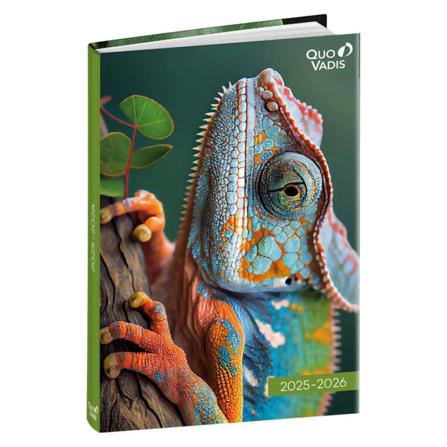 Agenda Mes Potes à pattes - 1 jour par page - 12 x 17 cm - différents modèles disponibles - Quo Vadis
