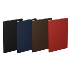 Agenda Scolaire Classique LECAS - 21x27cm 4 couleurs - Hamelin