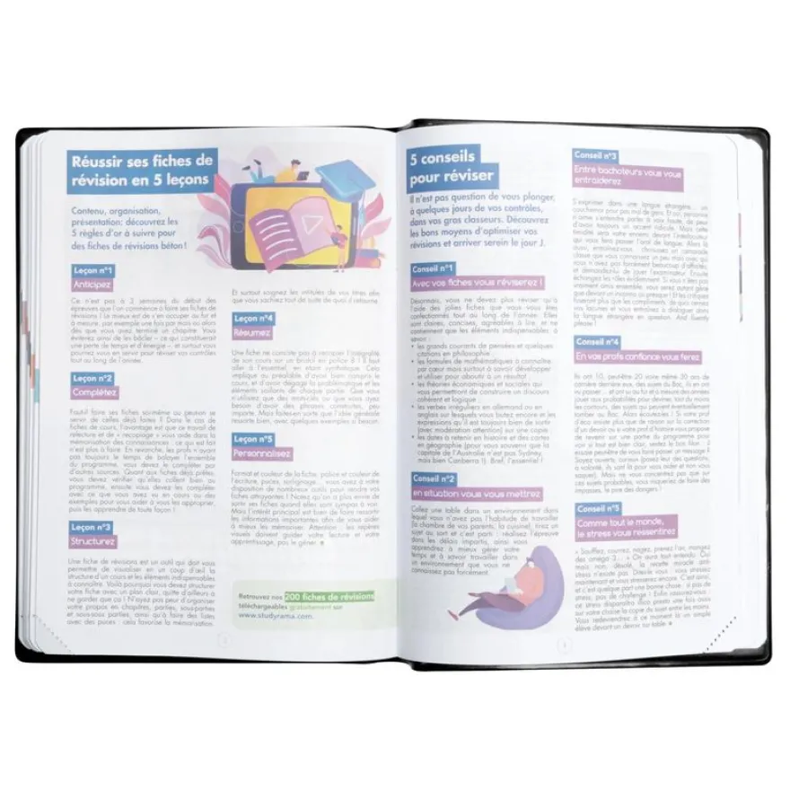 Agenda Studyrama - 1 jour par page - 14 x 20 cm - disponible dans différentes couleurs pastel - Exacompta