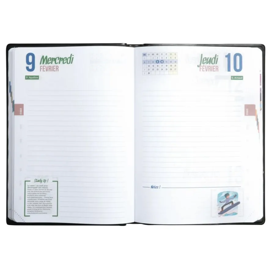 Agenda Studyrama - 1 jour par page - 14 x 20 cm - disponible dans différentes couleurs pastel - Exacompta