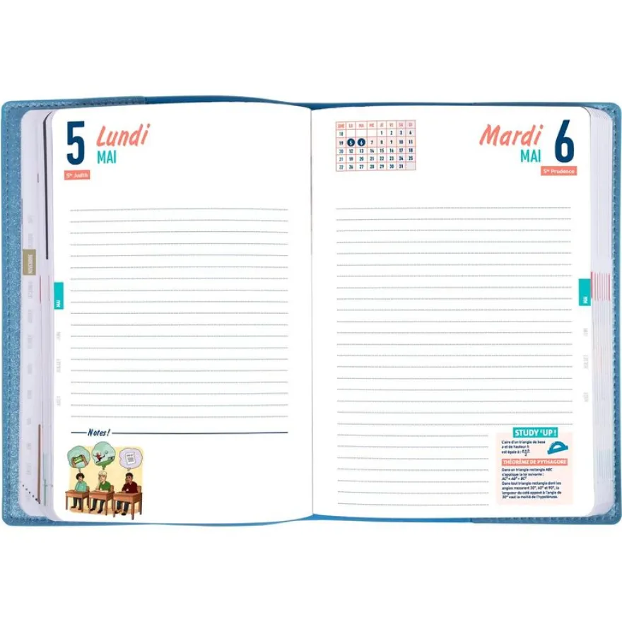 Agenda Studyrama - 1 jour par page - 14 x 20 cm - disponible dans différentes couleurs pastel - Exacompta