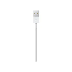 Apple - Câble Lightning - Lightning mâle pour USB mâle - 2 m