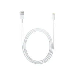 Apple - Câble Lightning - Lightning mâle pour USB mâle - 2 m