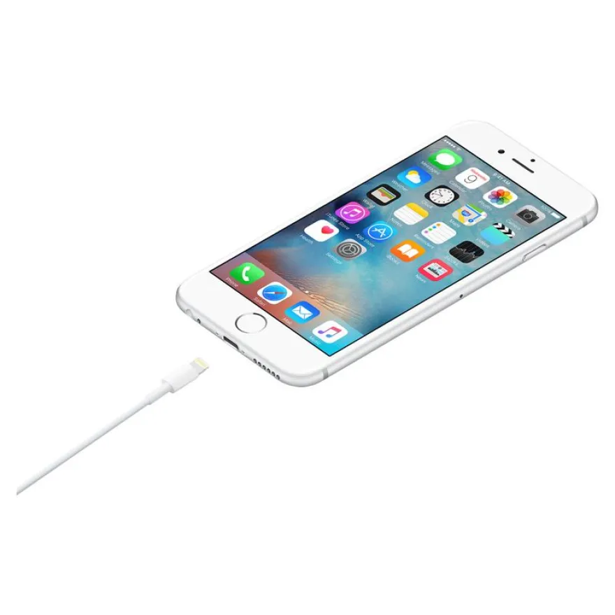 Apple câble Lightning - Lightning / USB - 1 m