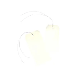 Avery - 1000 Étiquettes américaines à œillets avec fil de fer - 120 x 60 mm - réf 75-410