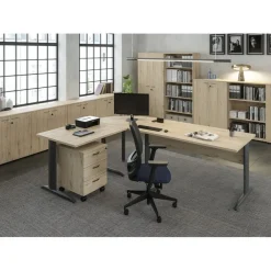 Bibliothèque haute Trend - L80xP35xH120 cm - 2 portes en mélaminé - portes et panneaux chêne canadien