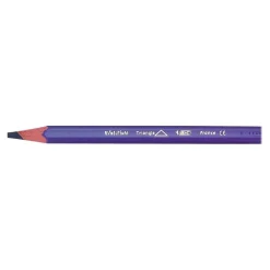 BIC Kids Evolution - 12 Crayons de couleurs triangulaires