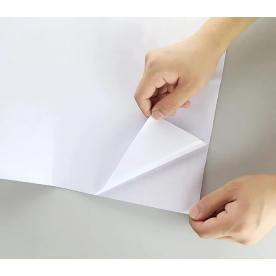 BIC Velleda - Surface effaçable à sec - rouleau adhésif - 100 x 200 cm - blanc