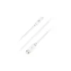Bigben Connected - câble Lightning - 2 m - blanc
