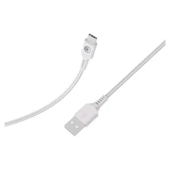 BIGBEN Connected - Câble USB pour 24 pin USB-C (M) - 1.2 m - blanc