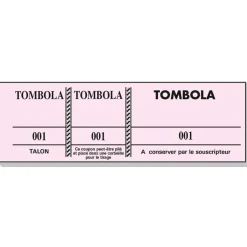 Bloc Tombola – 100 Feuillets Numérotés, 3 Volets, 4,8×15 cm – Couleurs Assorties