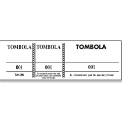 Bloc Tombola – 100 Feuillets Numérotés, 3 Volets, 4,8×15 cm – Couleurs Assorties
