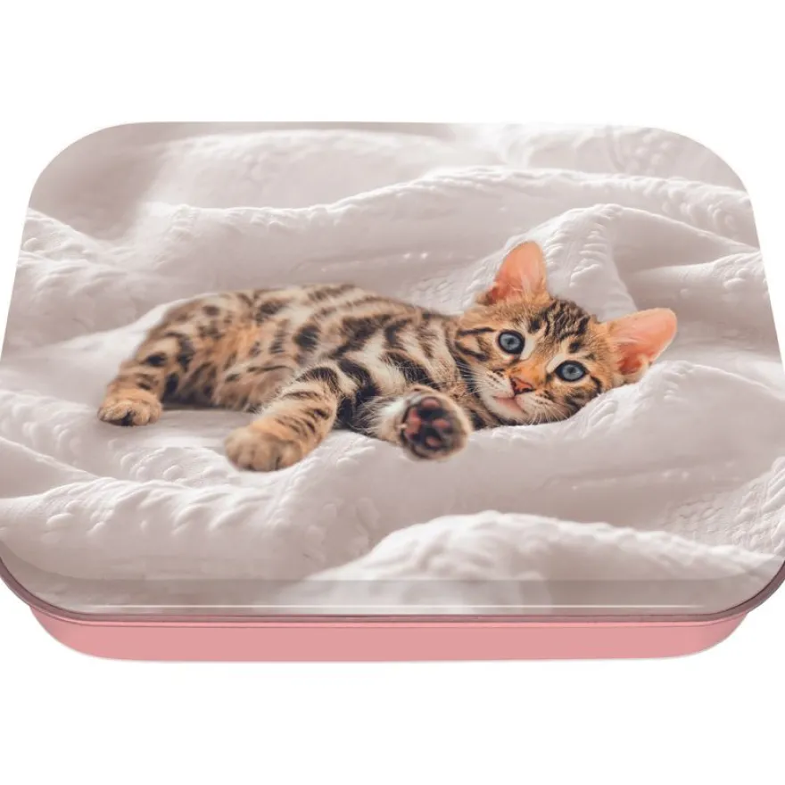 Boite a tout chaton - 11 x 8 cm - Oberthur