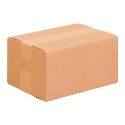 Boîte d’Expédition Master’in Access – 30x20x20 cm, Carton Brun Robuste