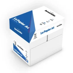 Bureau Vallée - Papier blanc - A4 (210 x 297 mm) - 80 g/m² - 2500 feuilles (carton de 5 ramettes)