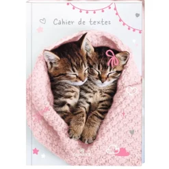 Cahier de texte Chaton tendre duo - 15 x 21 cm - Oberthur