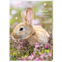Cahier de texte Lapin - 15 x 21 cm - Oberthur