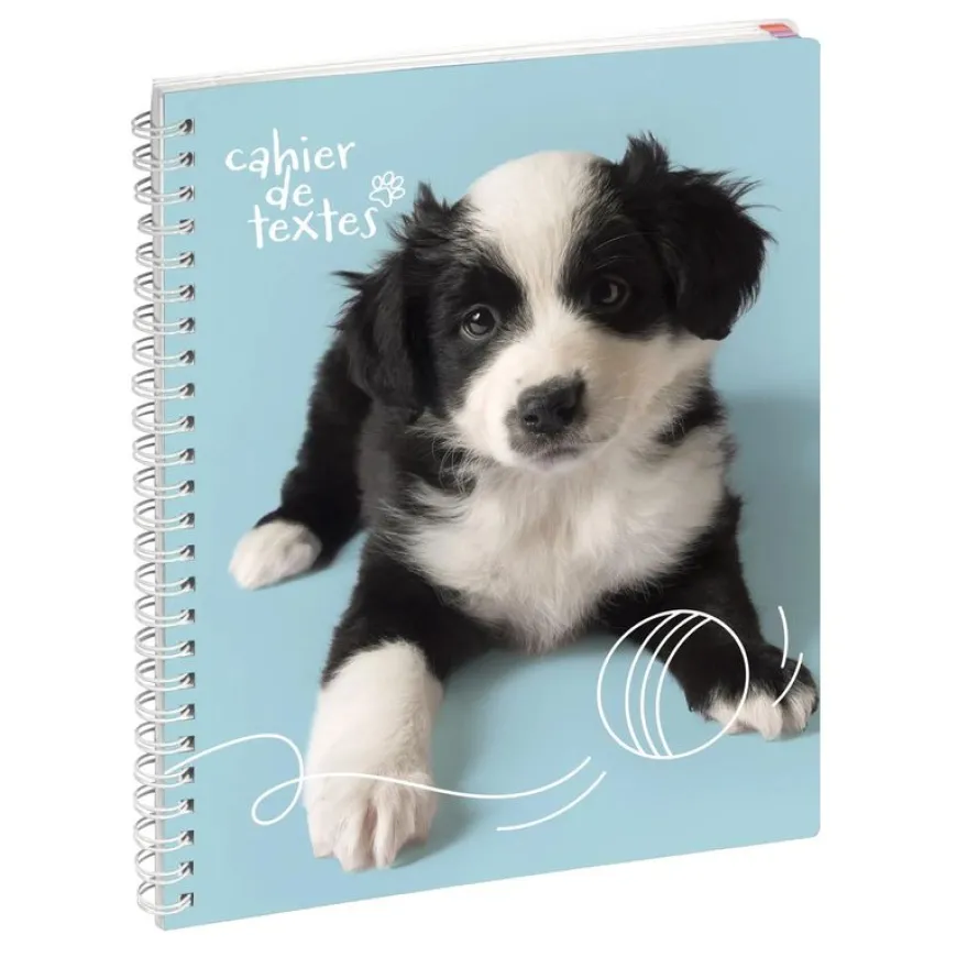 Cahier de textes à spirale Animaux - 17 x 22 cm - chiot balle - Exacompta