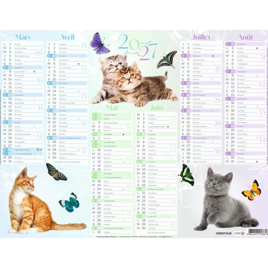 Calendrier Chaton - 6 mois par face - 55 x 43 cm - Oberthur