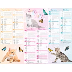 Calendrier Chaton - 6 mois par face - 21 x 26,5 cm - Oberthur