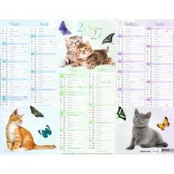 Calendrier Chaton - 6 mois par face - 21 x 26,5 cm - Oberthur