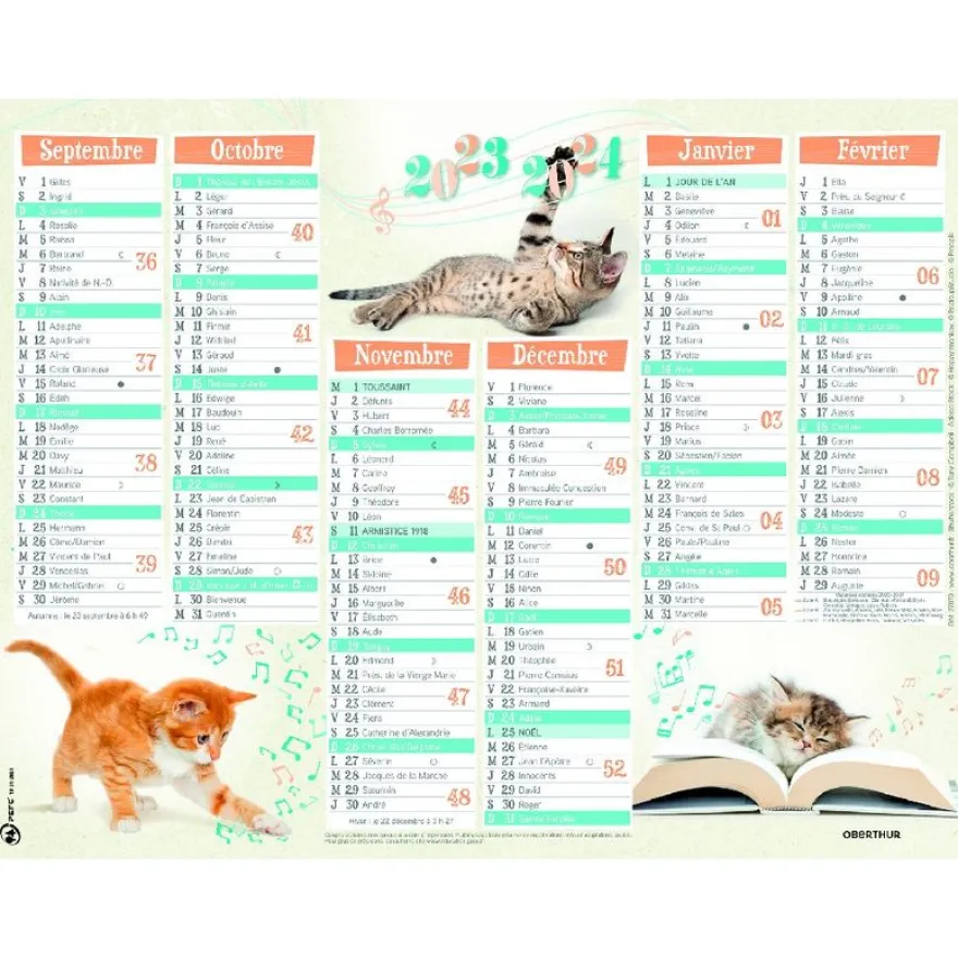 Calendrier Chatons - 7 mois par face - 21 x 26,5 cm - Oberthur
