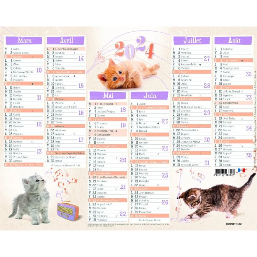 Calendrier Chatons - 7 mois par face - 21 x 26,5 cm - Oberthur