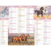 Calendrier Cheval - 6 mois par face - 32 x 42 cm - Oberthur