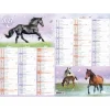 Calendrier Cheval - 6 mois par face - 55 x 40,5 cm - Oberthur