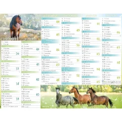 Calendrier Cheval - 7 mois par face - 21 x 26,5 cm - Oberthur