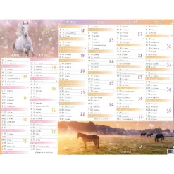 Calendrier Cheval - 7 mois par face - 21 x 26,5 cm - Oberthur