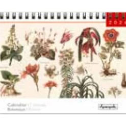 Calendrier chevalet 16x18cm 12 mois Aquarupella -Botanique