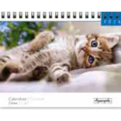 Calendrier chevalet 16x18cm 12 mois Aquarupella -Chats
